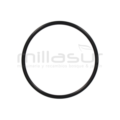 JUNTA TORICA CUERPO BOMBA 95x5 BE750AS (43) - motoscamaralweb.com