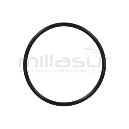 JUNTA TORICA CUERPO BOMBA 95x5 BE750AS (43) - motoscamaralweb.com