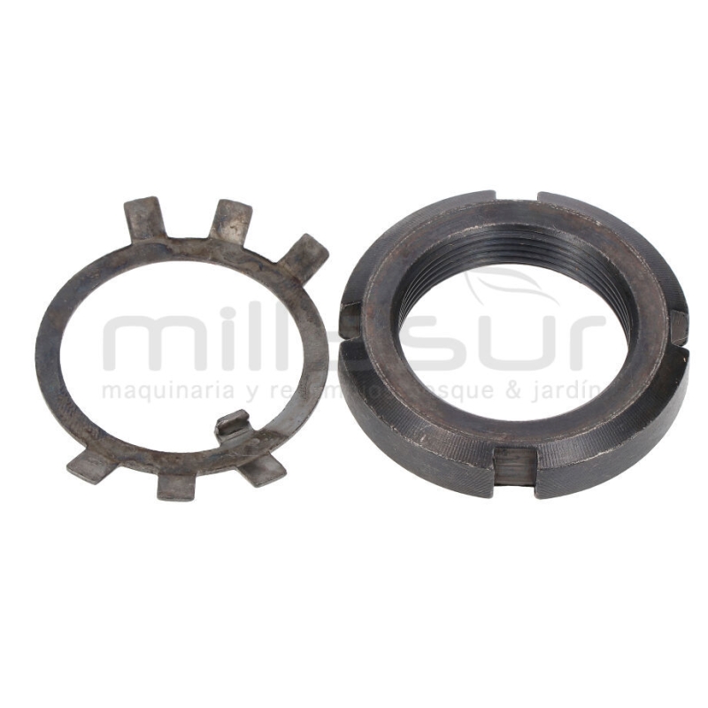 TUERCA M35X1.5 BIO300 (17) - motoscamaralweb.com