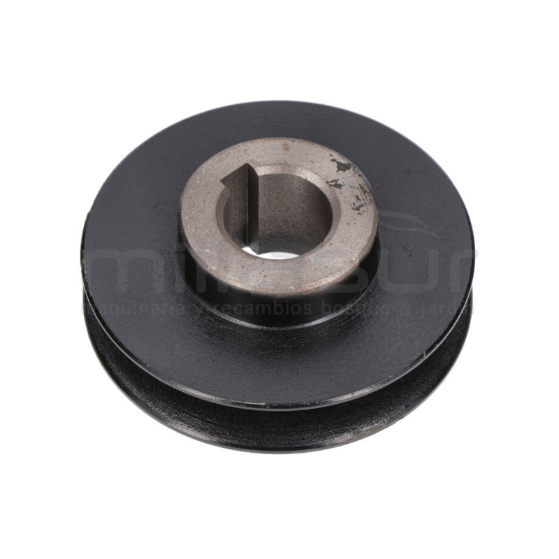 POLEA Ø90 BIO300 (61) - motoscamaralweb.com