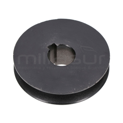 POLEA Ø90 BIO300 (61) - motoscamaralweb.com