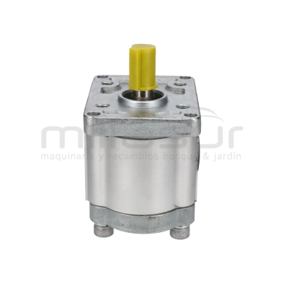 BOMBA HIDRAULICA BIO300 (69) - motoscamaralweb.com