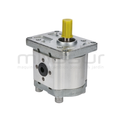 BOMBA HIDRAULICA BIO300 (69) - motoscamaralweb.com