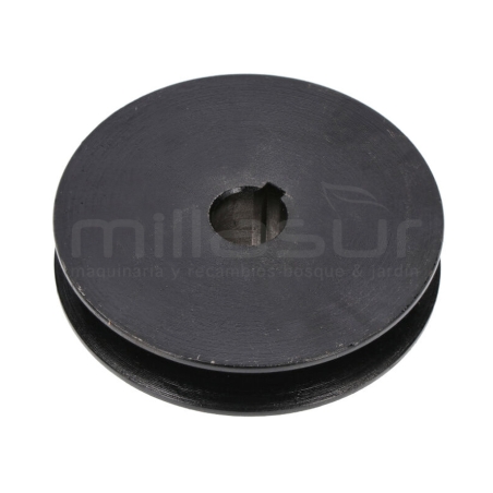 POLEA BOMBA HIDRAULICA BIO300 (71) - motoscamaralweb.com