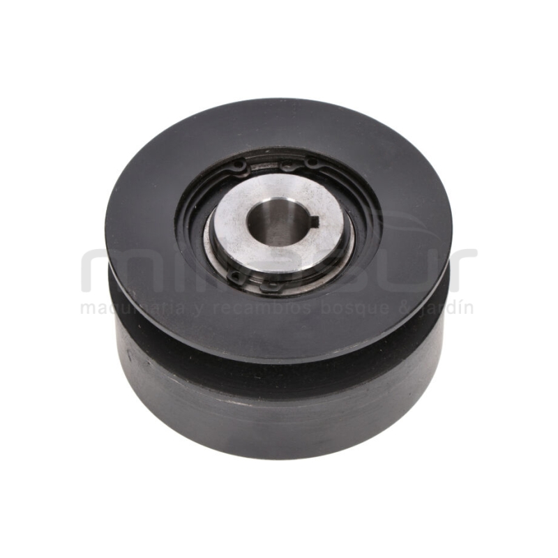 POLEA SALIDA MOTOR BIO70D (27) - motoscamaralweb.com