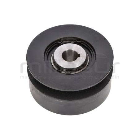 POLEA SALIDA MOTOR BIO70D (27) - motoscamaralweb.com