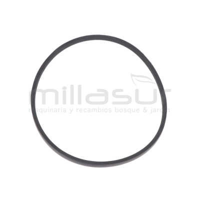 CORREA BIO70S (2) - motoscamaralweb.com