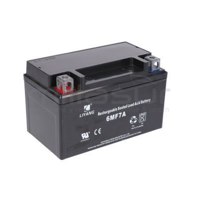 BATERIA BIO70S (23) - motoscamaralweb.com