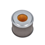 FILTRO DE AIRE GF200FA (196CC) (4) - motoscamaralweb.com