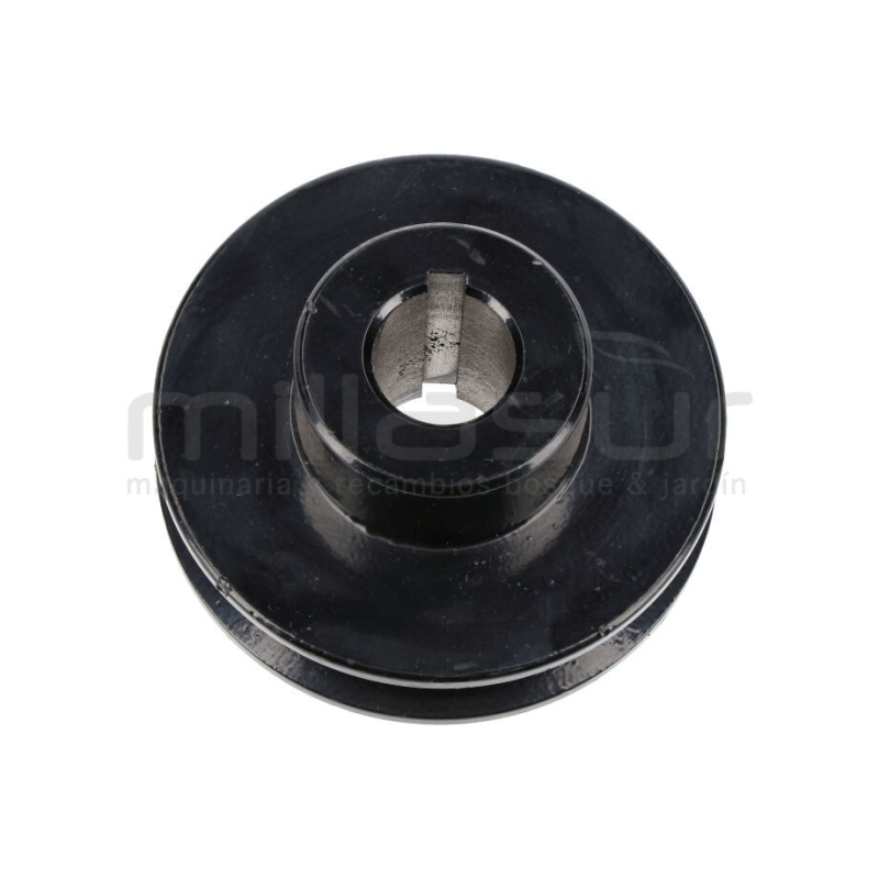 POLEA SALIDA MOTOR BIO150D (27) - motoscamaralweb.com
