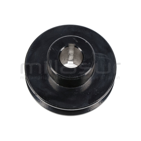 POLEA SALIDA MOTOR BIO150D (27) - motoscamaralweb.com