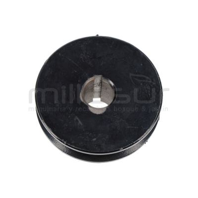 POLEA SALIDA MOTOR BIO150D (27) - motoscamaralweb.com
