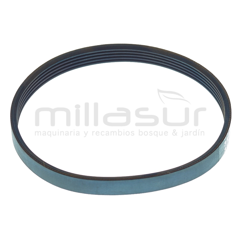 CORREA CA06 (24) - motoscamaralweb.com