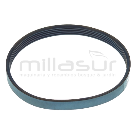 CORREA CA06 (24) - motoscamaralweb.com