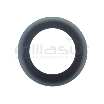 ARO PISTON CA06 (32) - motoscamaralweb.com