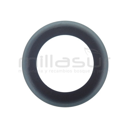 ARO PISTON CA06 (32) - motoscamaralweb.com