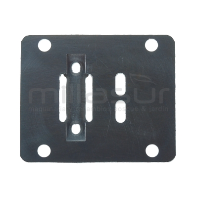 PLATINA VALVULA CA06 (38) - motoscamaralweb.com