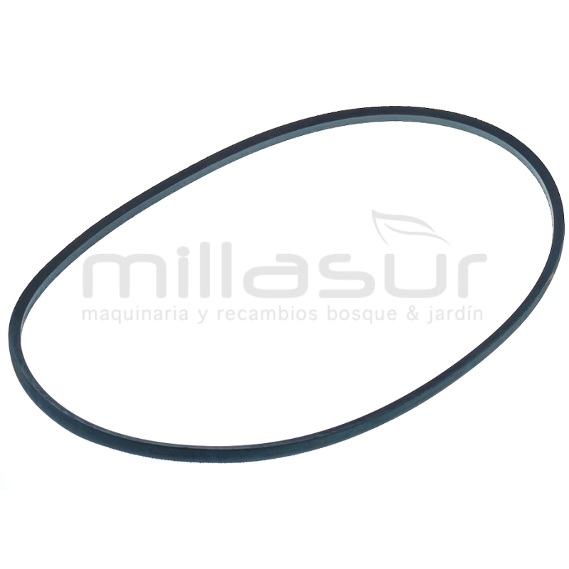 CORREA COMPRESOR CA100 (35) - motoscamaralweb.com