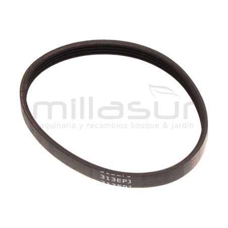 CORREA CA180M (16.15) - motoscamaralweb.com