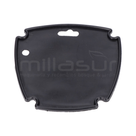 TAPA LATERAL CARTER BOMBA CA24. CA50 (5) (2HP - 2019) - motoscamaralweb.com