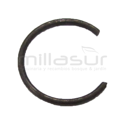 PRESILLA BULON - motoscamaralweb.com