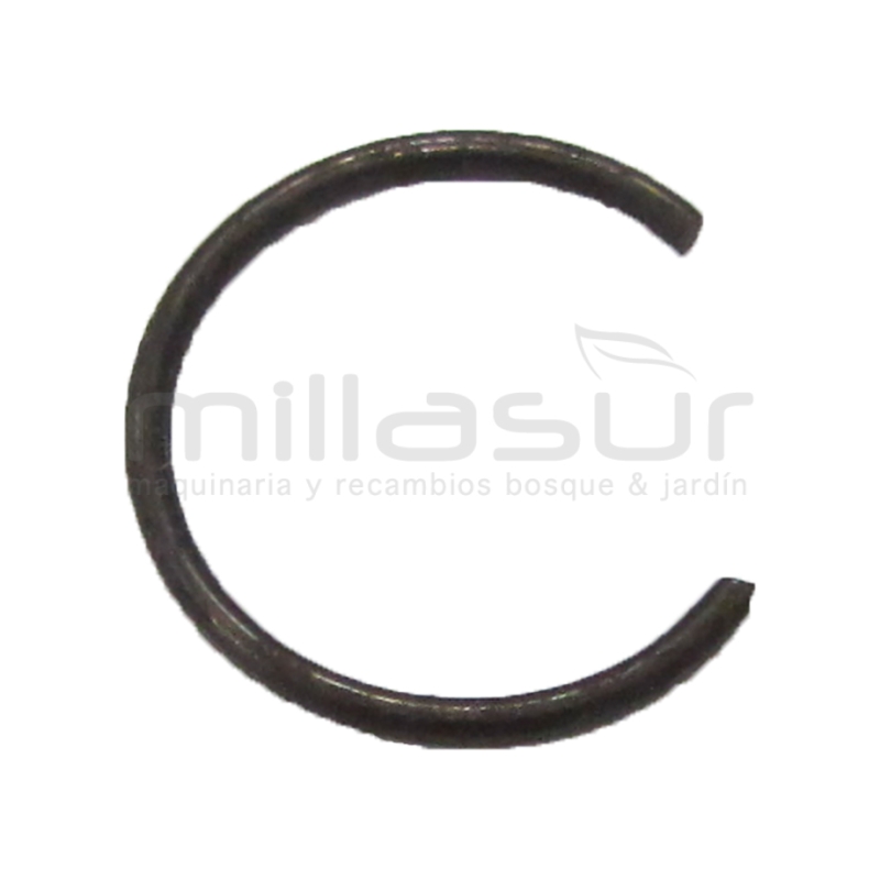 PRESILLA BULON - motoscamaralweb.com