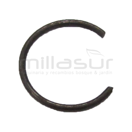 PRESILLA BULON - motoscamaralweb.com