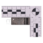 PALANCA FRENO BRAZO AVANCE CADENA AFILADORA 99-1345 (39) - motoscamaralweb.com