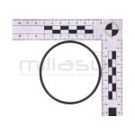 JUNTA TORICA 72X3 BE750AS (41) - motoscamaralweb.com