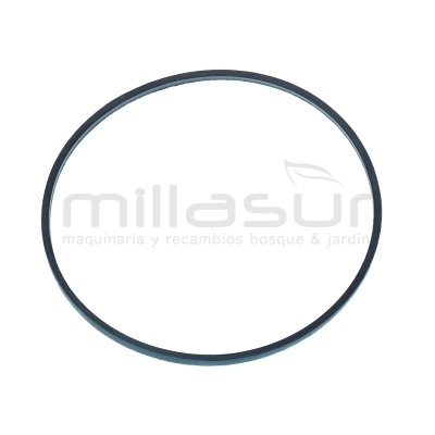 CORREA CC251T (10) - CC251TA (27) Z813Li - motoscamaralweb.com