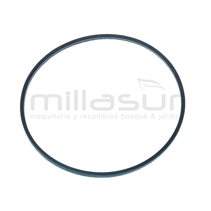 CORREA CC251T (10) - CC251TA (27) Z813Li - motoscamaralweb.com