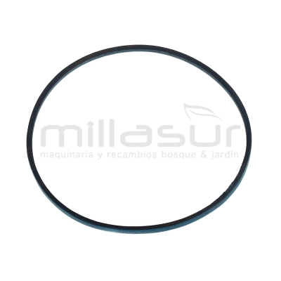 CORREA CC351T3 (10) 800mm CC451BS(10) - motoscamaralweb.com