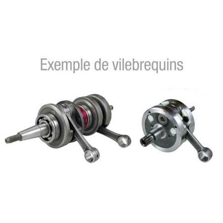 Cigüeñal TECNIUM racing Derbi Senda - motoscamaralweb.com