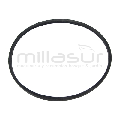 CORREA 711mm (LI) - motoscamaralweb.com