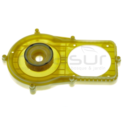 PLACA SUJECION MOTOR CE246 (49) - motoscamaralweb.com