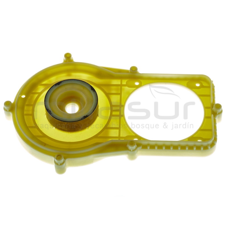 PLACA SUJECION MOTOR CE246 (49) - motoscamaralweb.com