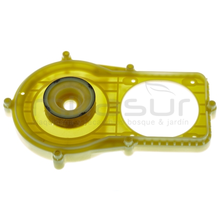 PLACA SUJECION MOTOR CE246 (49) - motoscamaralweb.com