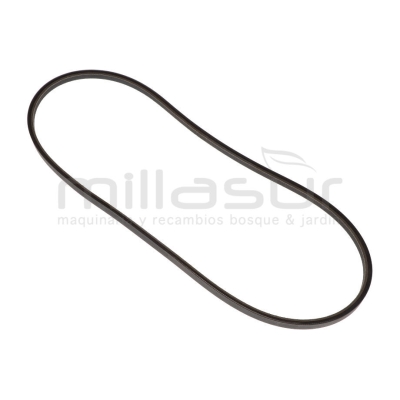 CORREA TRACCIÓN 15.8x1549 ADAPTABLE A STIGA PARK PRO 20 4WD 2008. PRO 4WD - motoscamaralweb.com