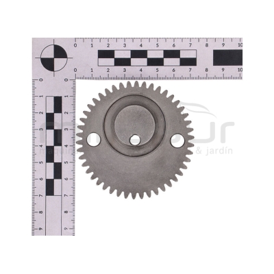 PIÑON EXCENTRICA CG2660 - motoscamaralweb.com