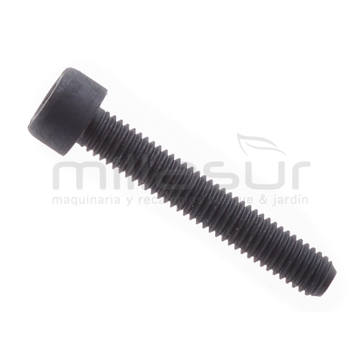 TORNILLO HEXAGONAL M5X30 CG2660 - motoscamaralweb.com