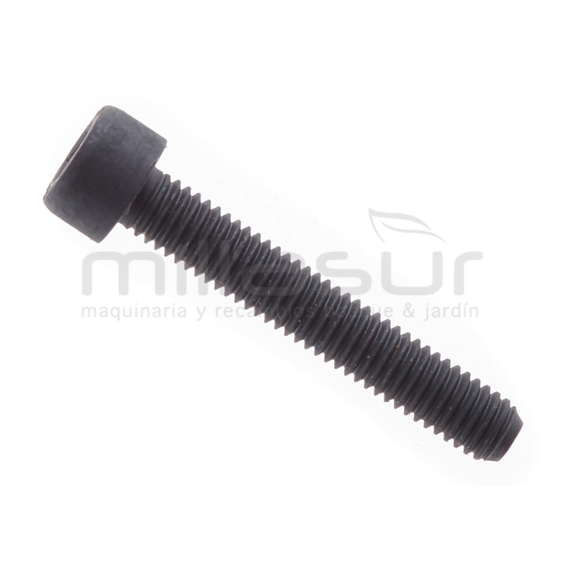 TORNILLO HEXAGONAL M5X30 CG2660 - motoscamaralweb.com