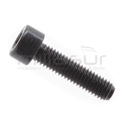 TORNILLO HEXAGONAL M5X20 CG2660 - motoscamaralweb.com