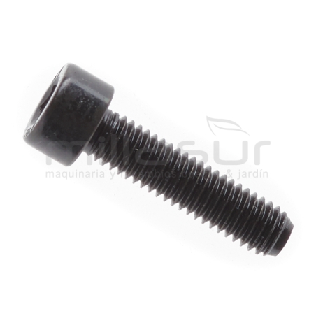 TORNILLO HEXAGONAL M5X20 CG2660 - motoscamaralweb.com
