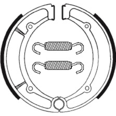 Zapatas de freno Tecnium BA066 - motoscamaralweb.com