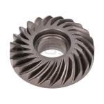 PIÑON SALIDA - motoscamaralweb.com