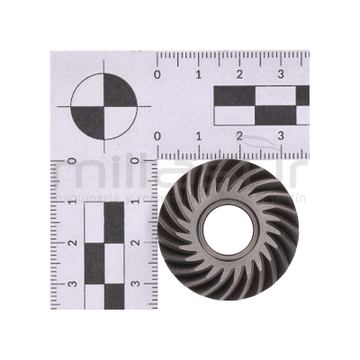 PIÑON SALIDA - motoscamaralweb.com