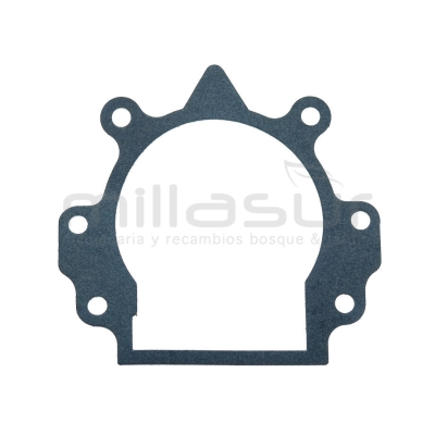 JUNTA CARTER D33B (17) - motoscamaralweb.com