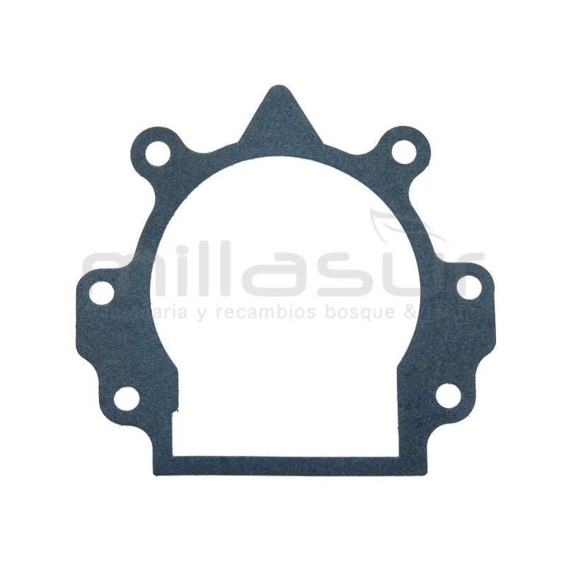 JUNTA CARTER D33B (17) - motoscamaralweb.com