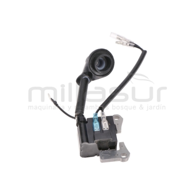 BOBINA D33B (12) - motoscamaralweb.com