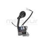 BOBINA D33B (12) - motoscamaralweb.com